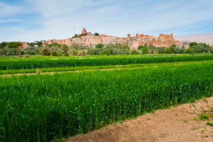From Savannahs to Fields: Exploring Burkina Faso'S Agricultural