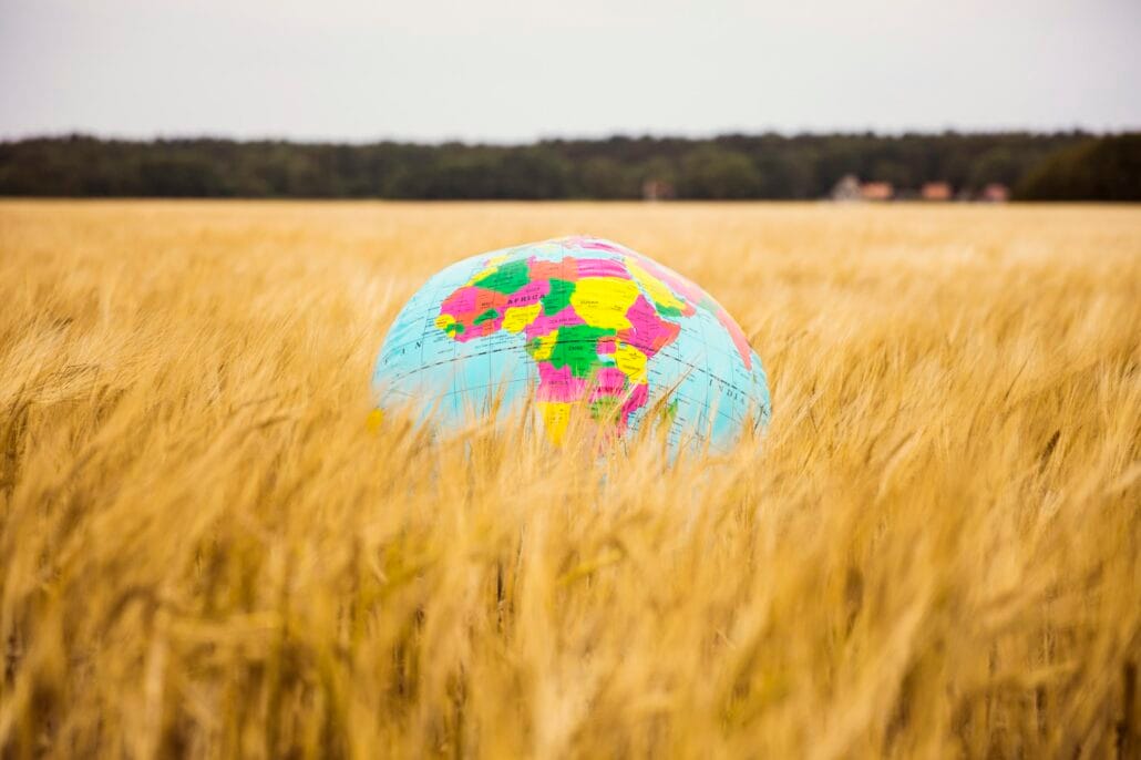 Globe in grain field