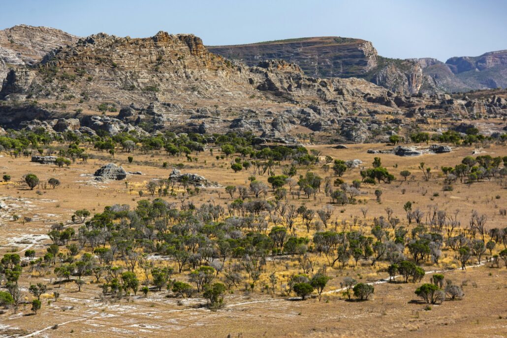 Isalo National Park, Ihorombe Region, Southwest Madagascar