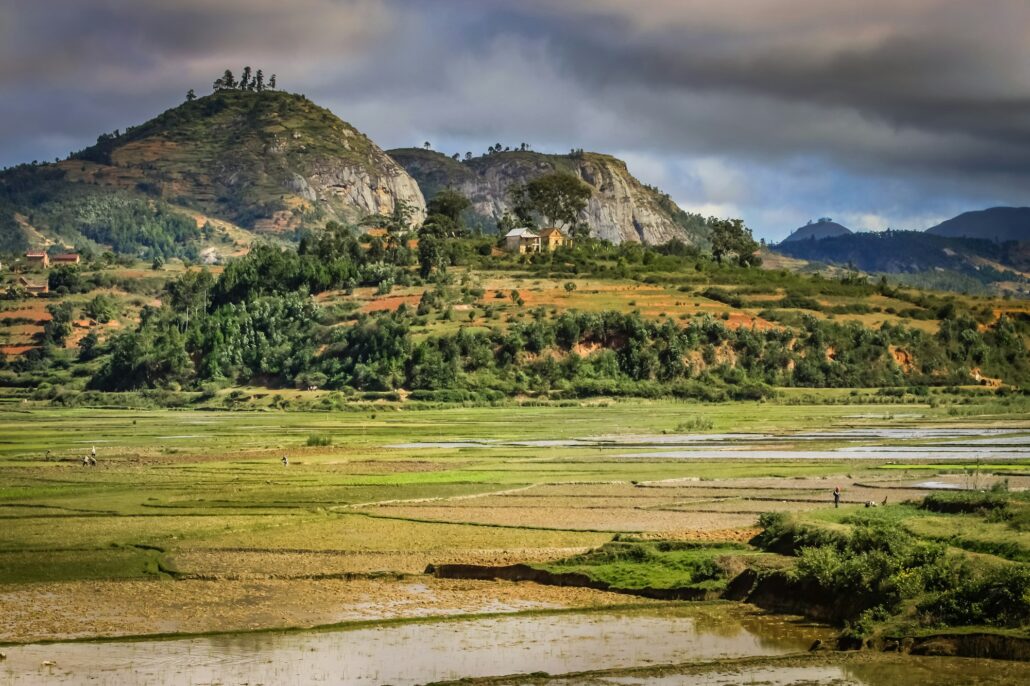Ricefields of Madagascar